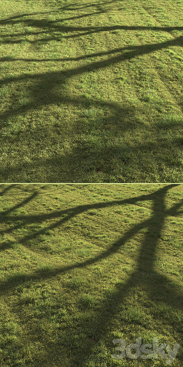 Grass landscape 3DS Max Model - thumbnail 4