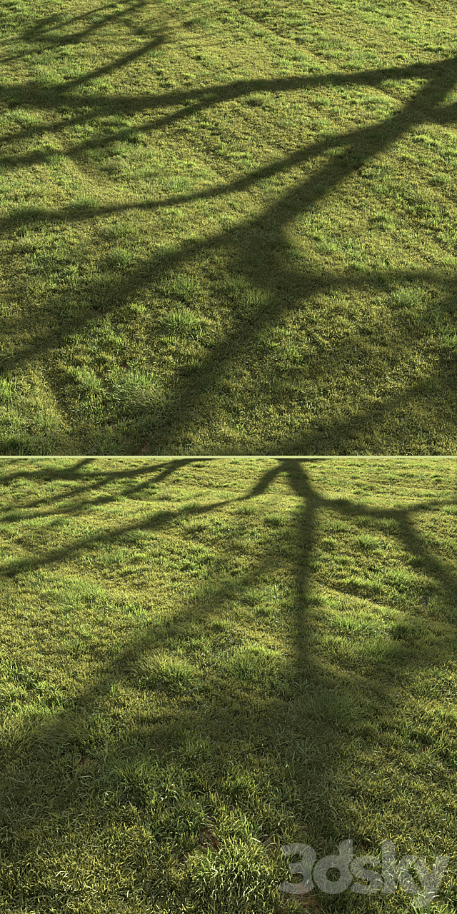 Grass landscape 3DS Max Model - thumbnail 5