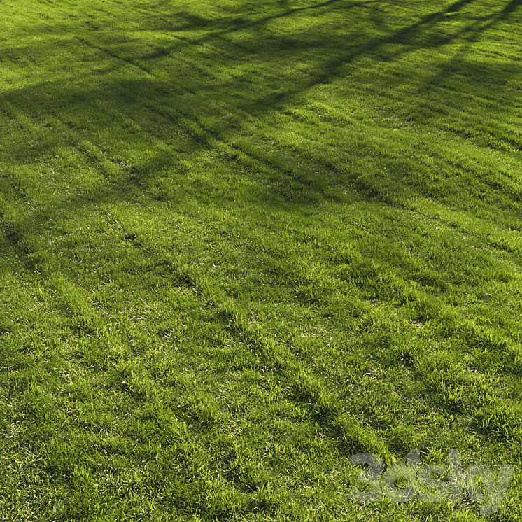 Grass lawn 3DS Max Model - thumbnail 1