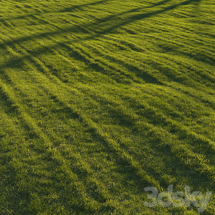 Grass lawn 3DS Max Model - thumbnail 2
