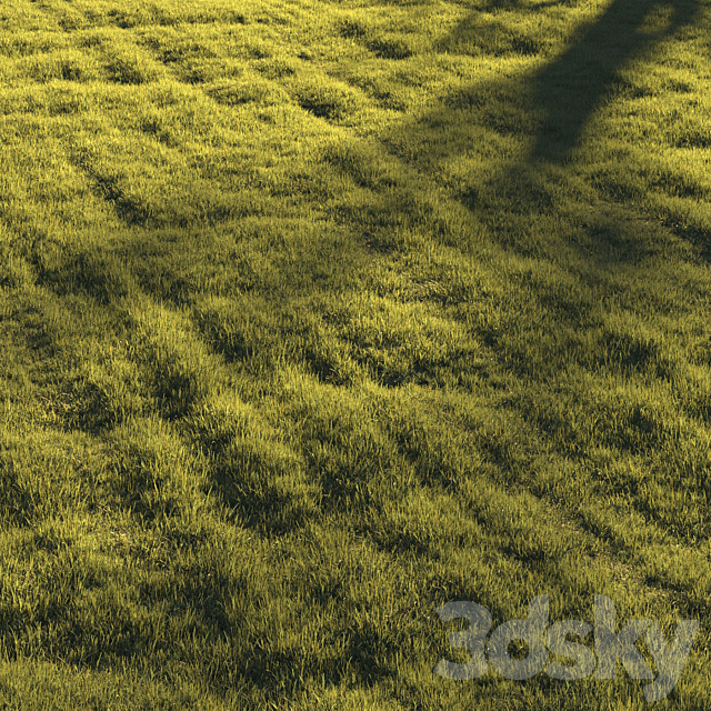 Grass | lawn 3DS Max Model - thumbnail 2