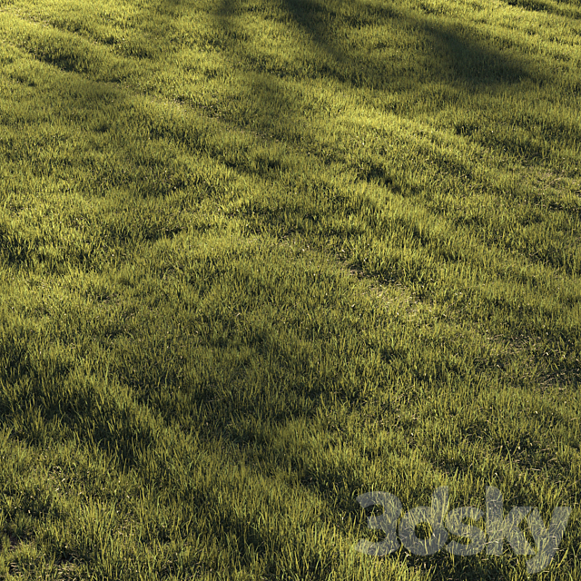 Grass | lawn 3DS Max Model - thumbnail 3