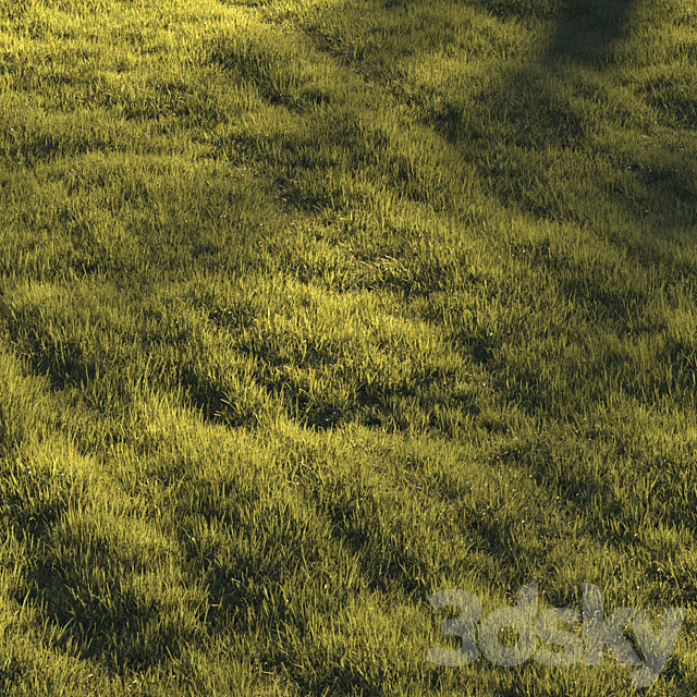 Grass | lawn 3DS Max Model - thumbnail 4