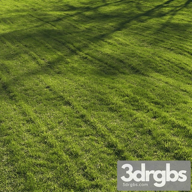 Grass lawn - thumbnail 1