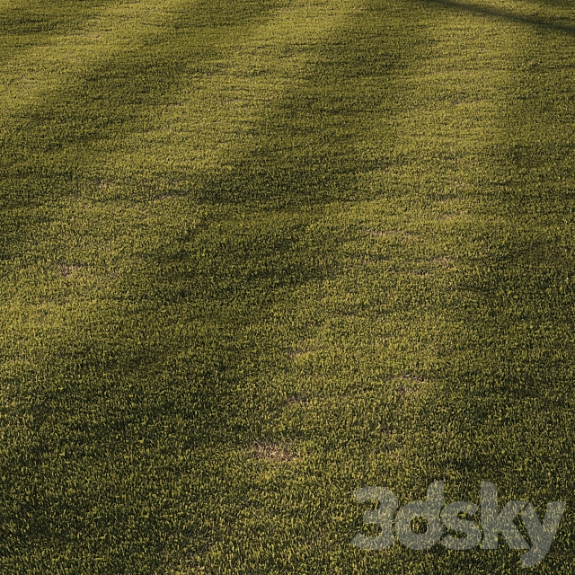 Grass | mowed lawn 3ds Max - thumbnail 1