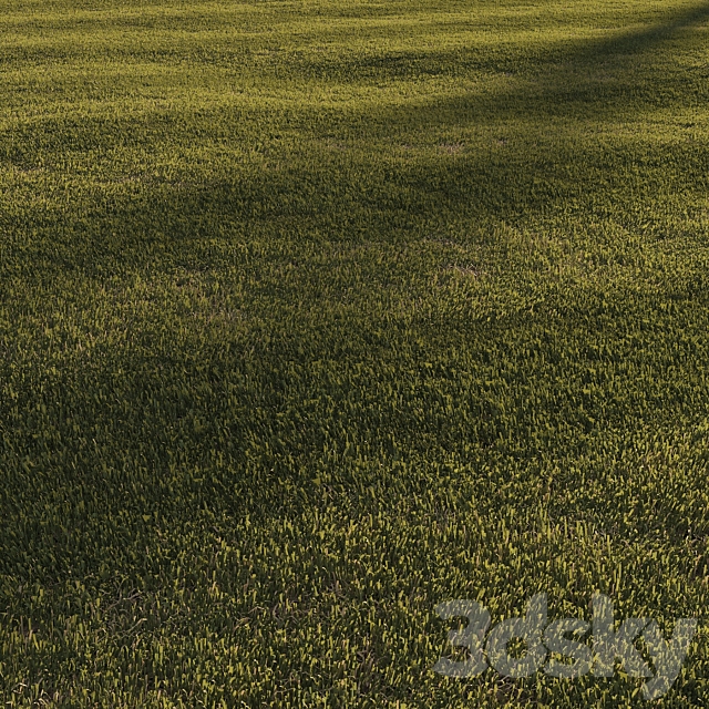 Grass | mowed lawn 3ds Max - thumbnail 2