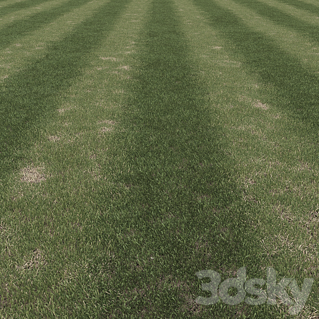 Grass | mowed lawn 3ds Max - thumbnail 3