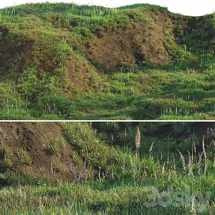 Grass on the slope 3DS Max Model - thumbnail 1