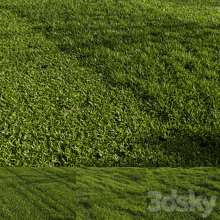 Grass Pack 01 3DS Max Model - thumbnail 1