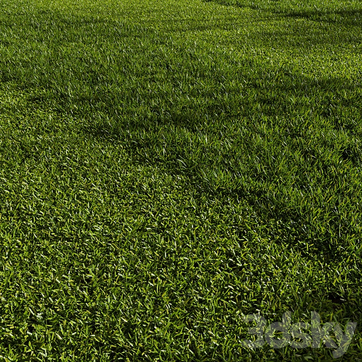 Grass Pack 01 3DS Max Model - thumbnail 2