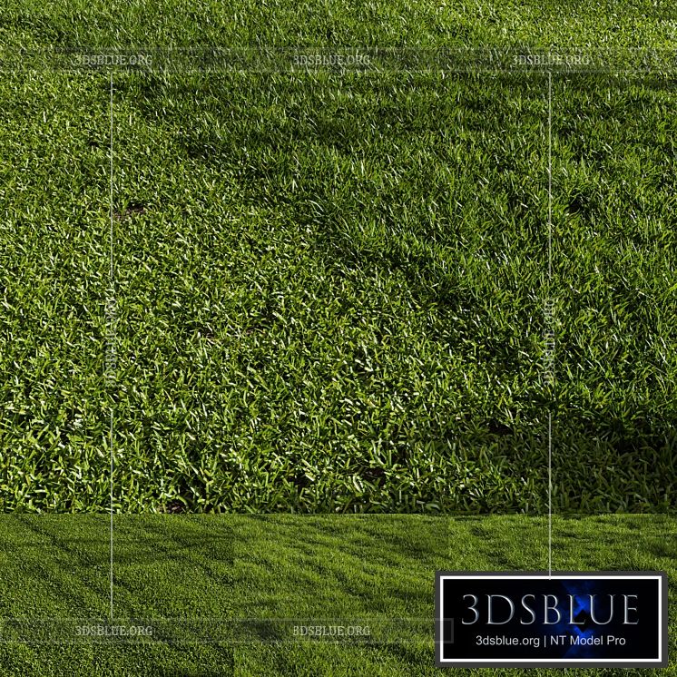 Grass Pack 01 3DS Max - thumbnail 3