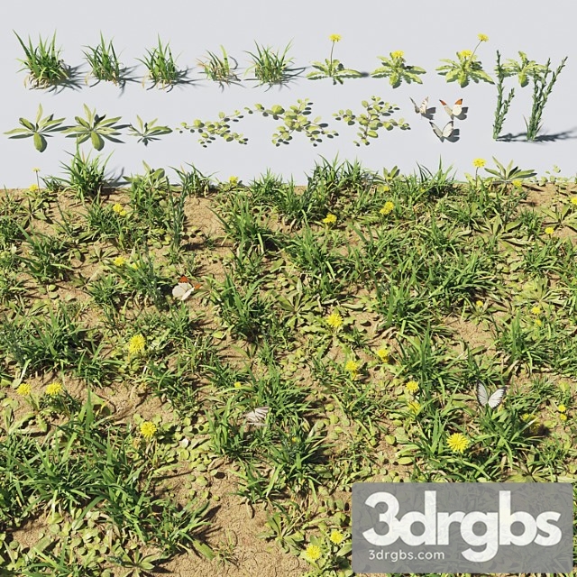 Grass Plants 2 3dsmax Download - thumbnail 1