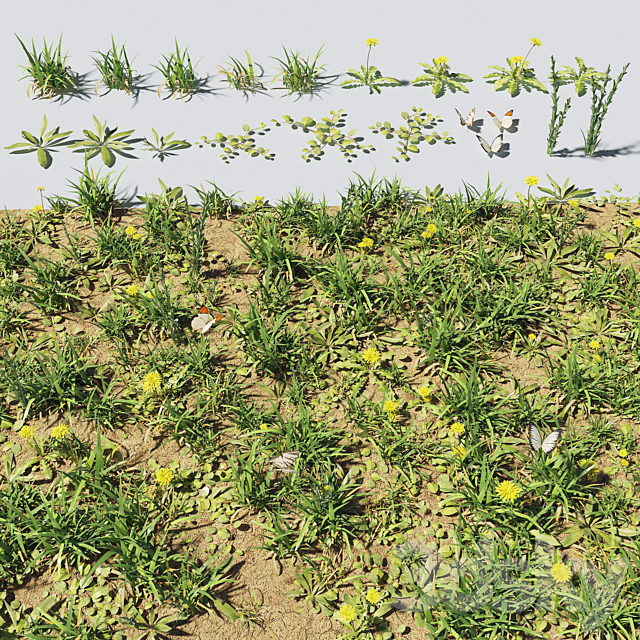 Grass & plants 3DSMax File - thumbnail 1