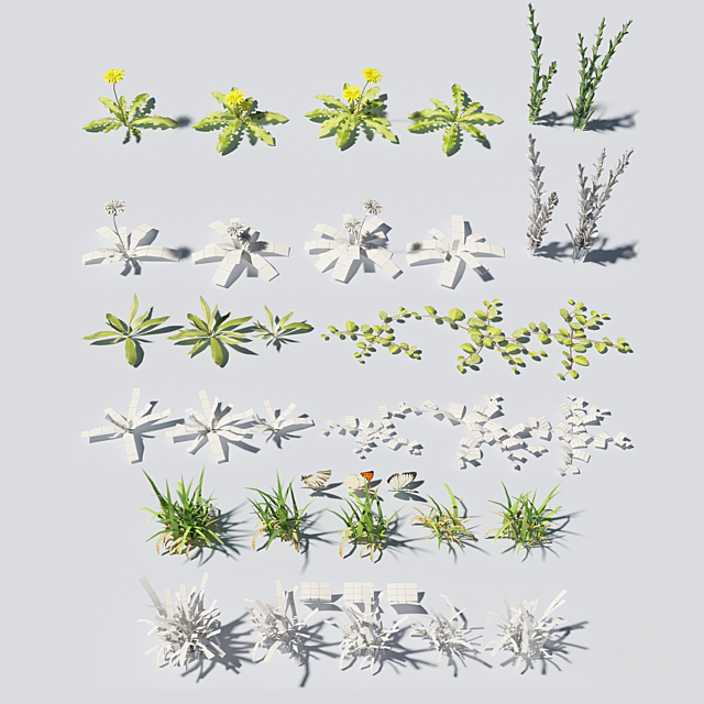 Grass & plants 3DSMax File - thumbnail 3