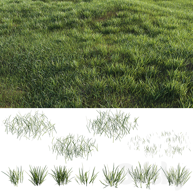 Grass-plot 3DSMax File - thumbnail 1