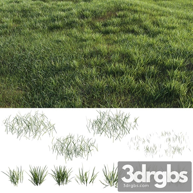 Grass-plot - thumbnail 1