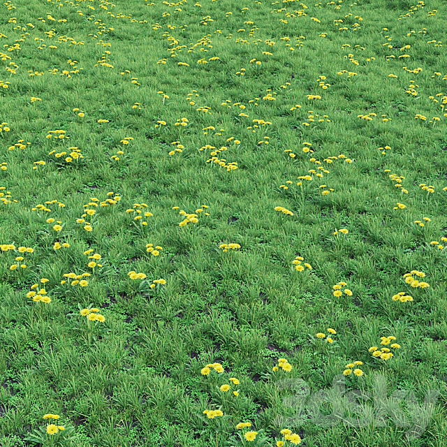 Grass set 01 – Dandelion 3DS Max Model - thumbnail 2