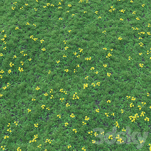 Grass set 01 – Dandelion 3DS Max Model - thumbnail 3