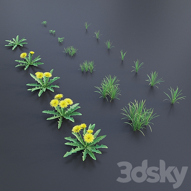 Grass set 01 – Dandelion 3DS Max Model - thumbnail 4