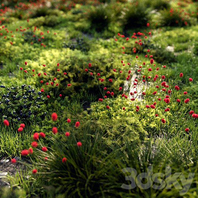 Grass set 1 3DS Max Model - thumbnail 2