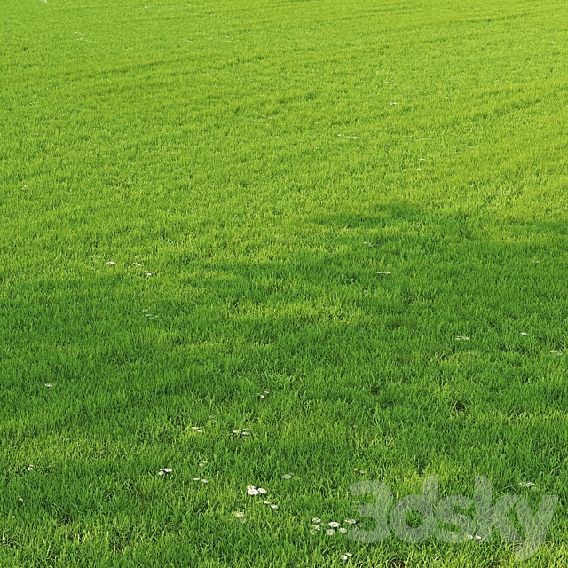 Grass Set GS01 3ds Max - thumbnail 1