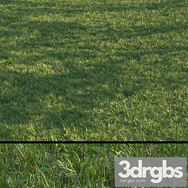 Grass set04 - thumbnail 1