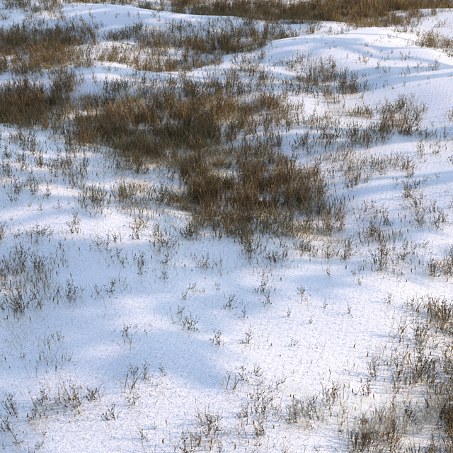 grass under snow02 3ds Max - thumbnail 1