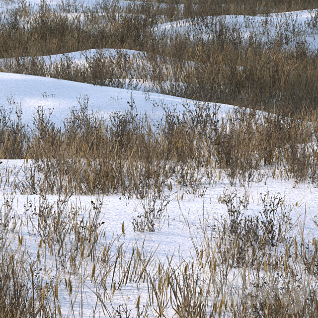 grass under snow02 3ds Max - thumbnail 2