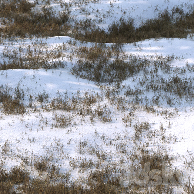 grass under snow02 3ds Max - thumbnail 3