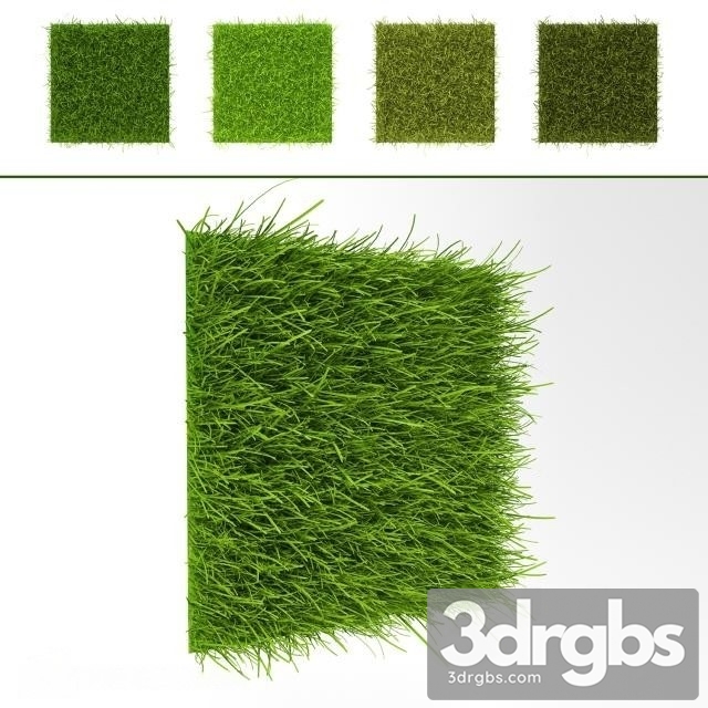 Grass Wall 7 3dsmax Download - thumbnail 1