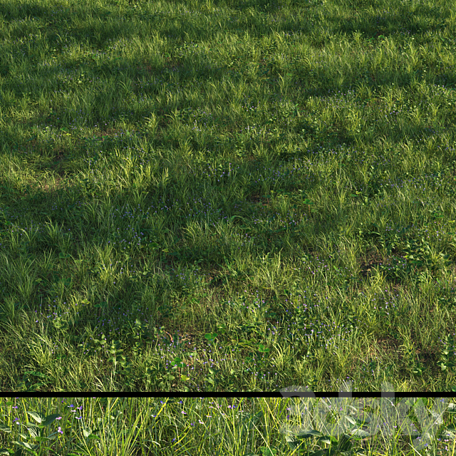 grass13 3ds Max - thumbnail 1