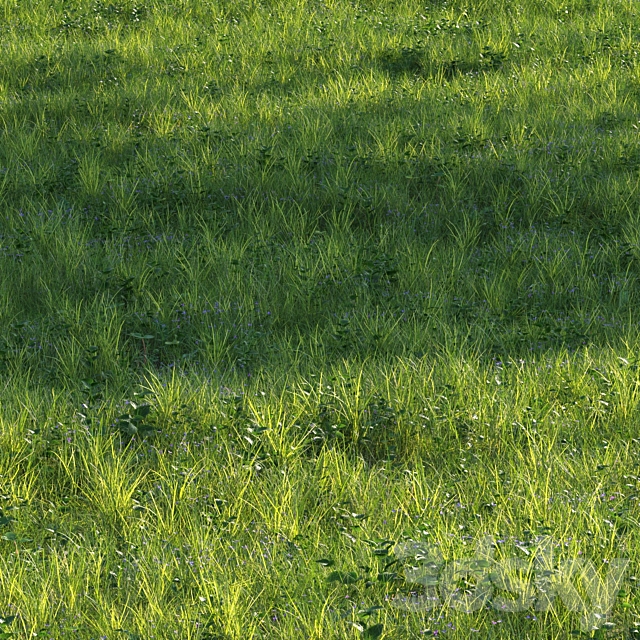 grass13 3ds Max - thumbnail 2