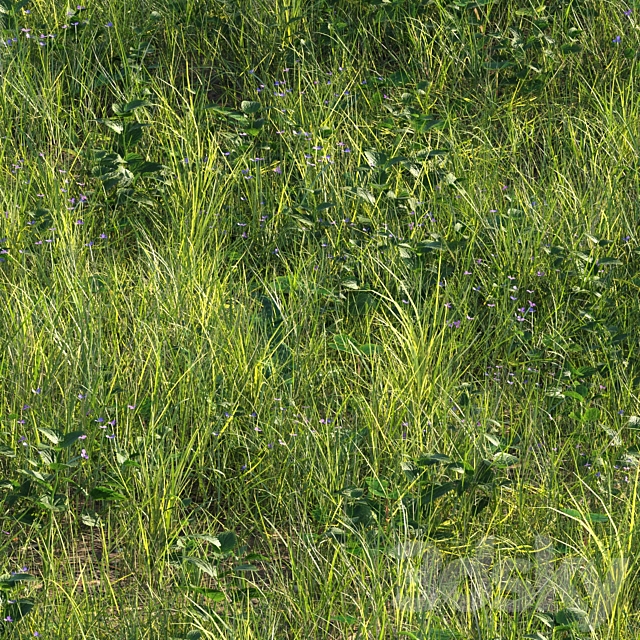 grass13 3ds Max - thumbnail 3