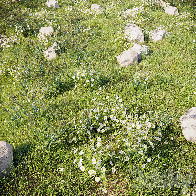 grass_for_landscaping_set02 3DS Max - thumbnail 1