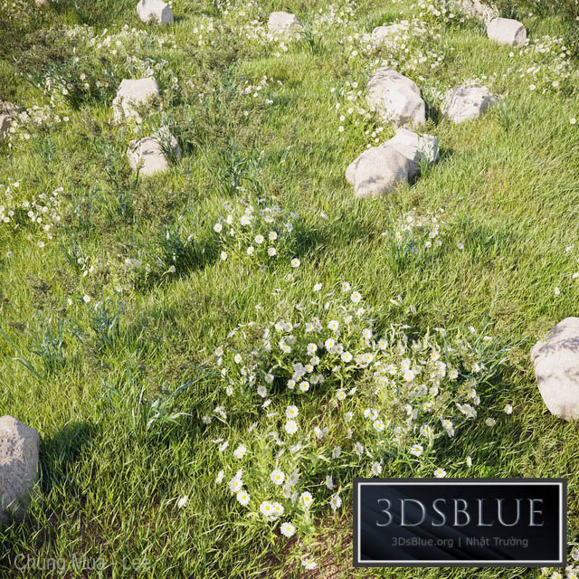 grass_for_landscaping_set02 3DS Max - thumbnail 3