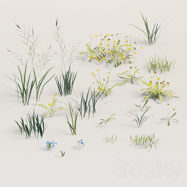 June grass 3DS Max Model - thumbnail 4