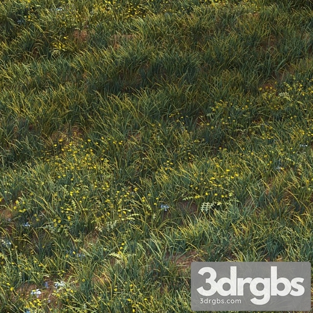 June Grass 3dsmax Download - thumbnail 1