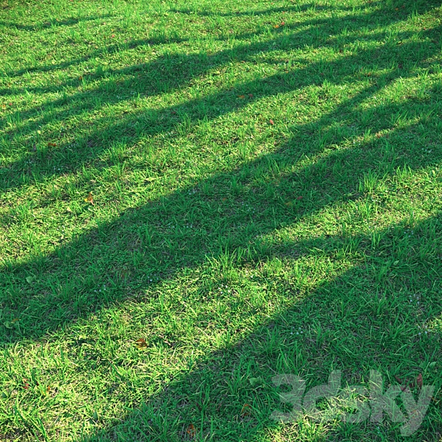 Lawn 3ds Max - thumbnail 2