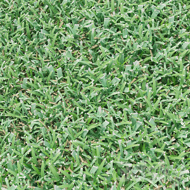 lawn 3DS Max Model - thumbnail 2