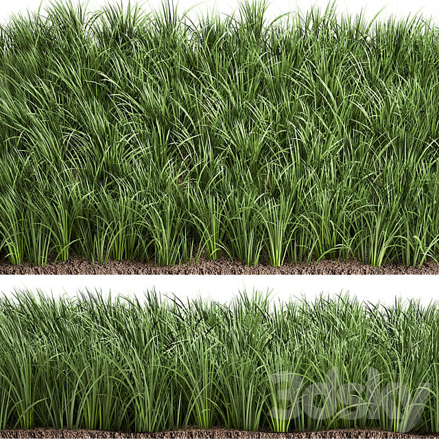 Lawn 941. grass bushes landscaping 3DS Max Model - thumbnail 3