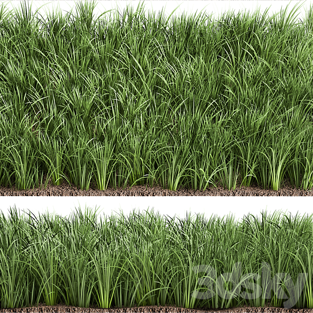 Lawn 941. grass bushes landscaping 3DS Max Model - thumbnail 5