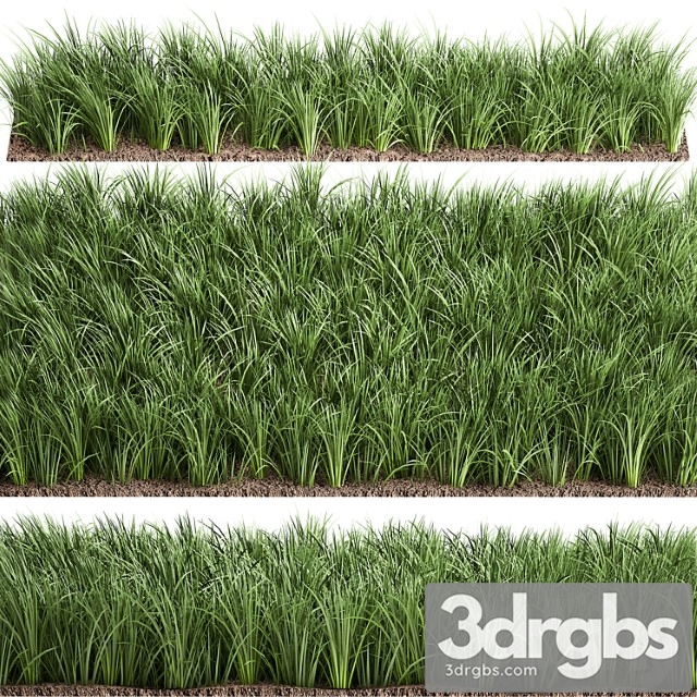 Lawn 941 Grass Bushes Landscaping 3dsmax Download - thumbnail 1