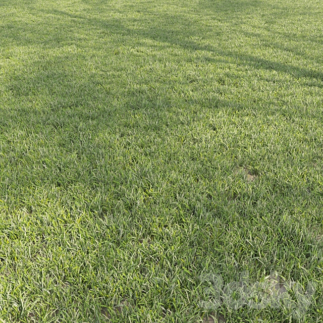 Lawn cut grass 3ds Max - thumbnail 1