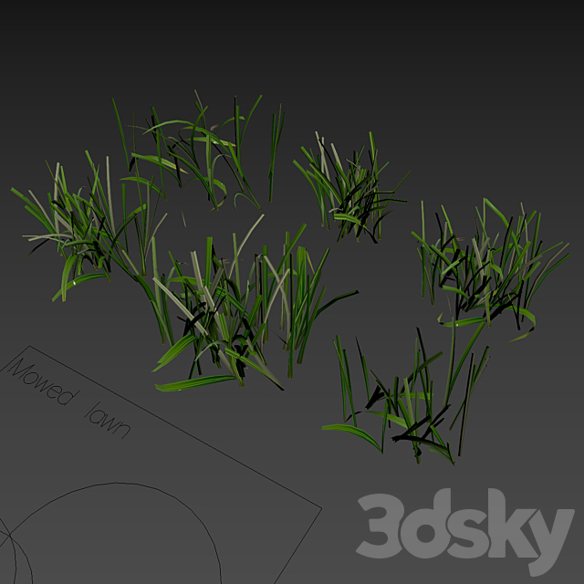 Lawn cut grass 3ds Max - thumbnail 3