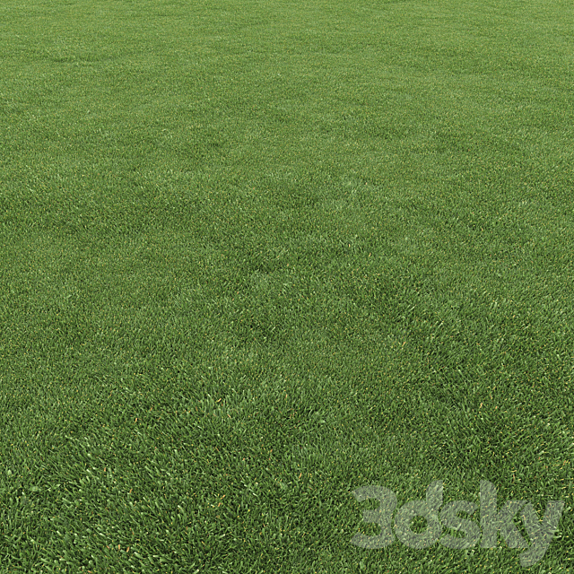 Lawn grass 3DS Max Model - thumbnail 2