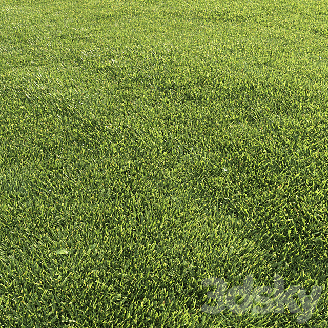 Lawn grass 3DS Max Model - thumbnail 3