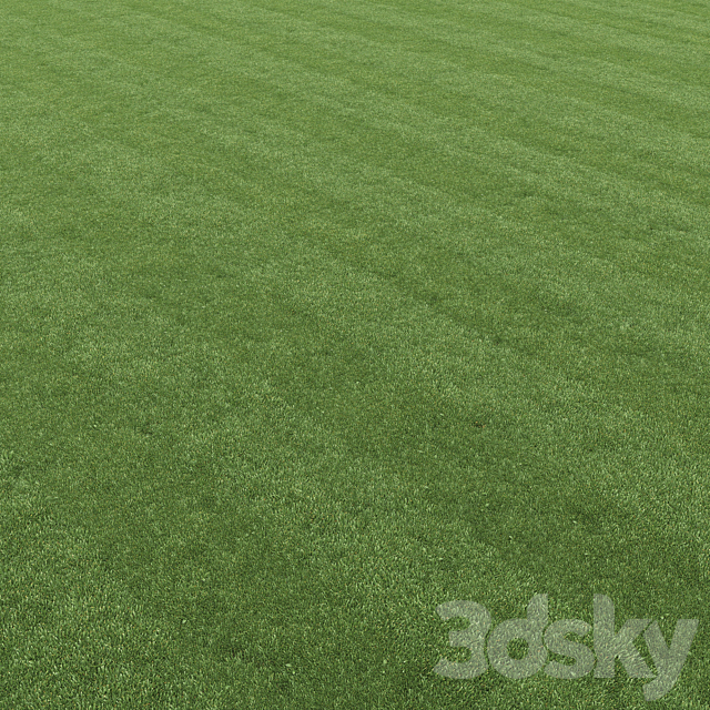 Lawn grass 3DS Max Model - thumbnail 5