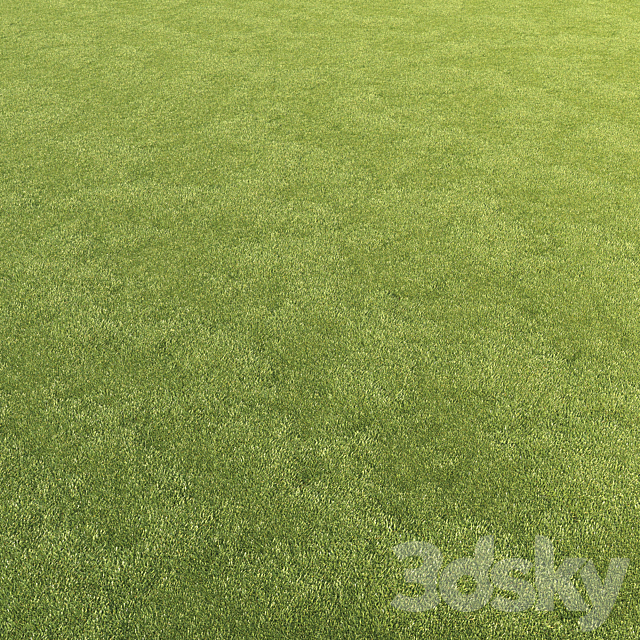 Lawn grass 3DS Max Model - thumbnail 6