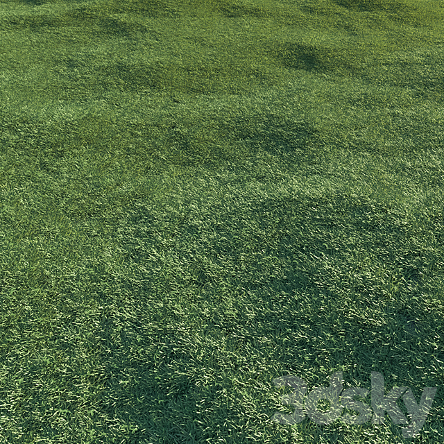 Lawn grass 3DS Max Model - thumbnail 2