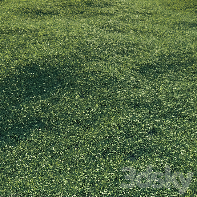 Lawn grass 3DS Max Model - thumbnail 3